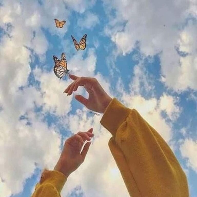 hands raised to sky with butterflies
