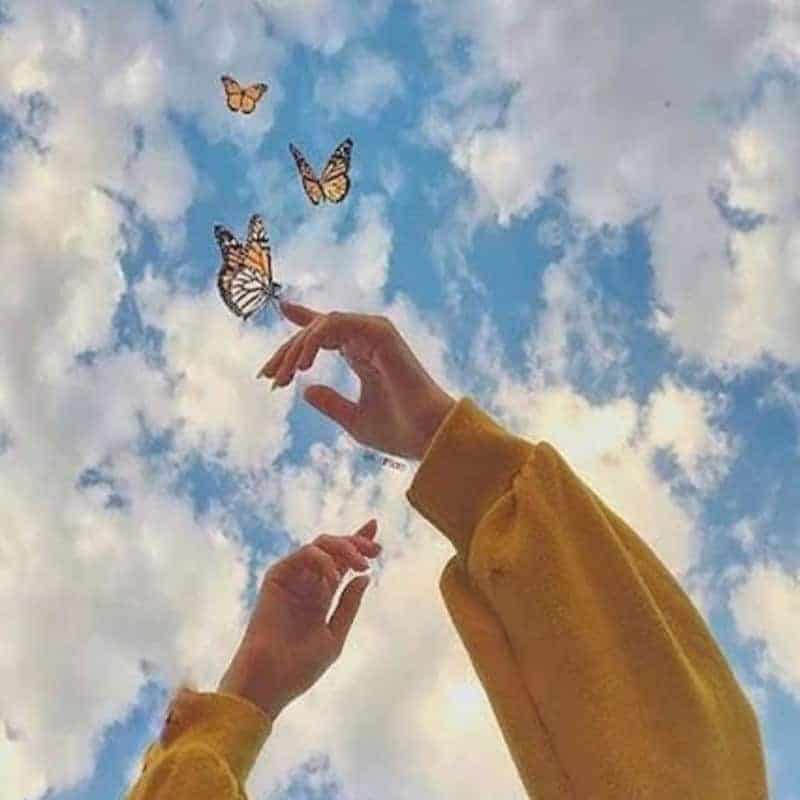 hands raised to sky with butterflies